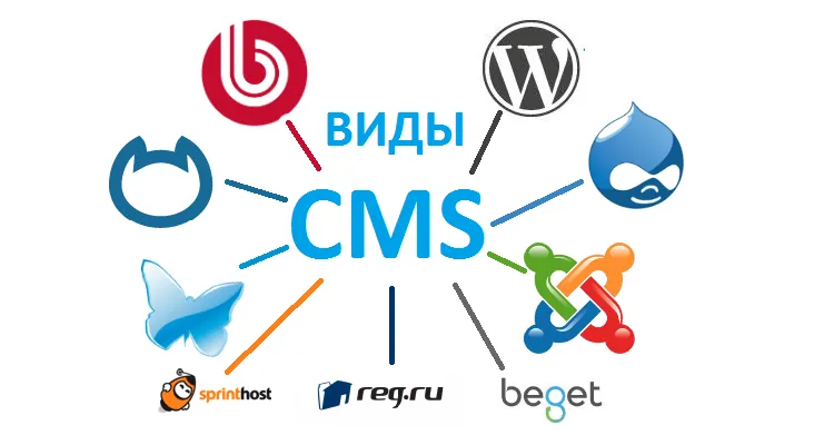 What Types of Content Management Systems Are There?