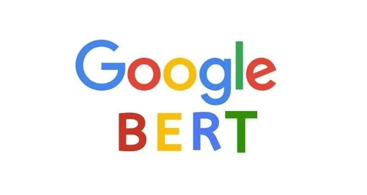 The Google BERT Update